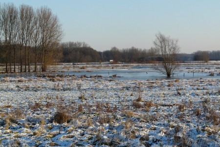 December 2014